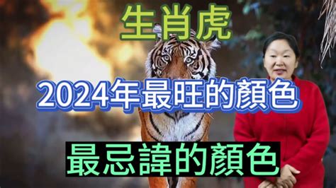 屬虎 顏色|【屬虎顏色】屬虎人必看！2024年開運指南：揭秘幸。